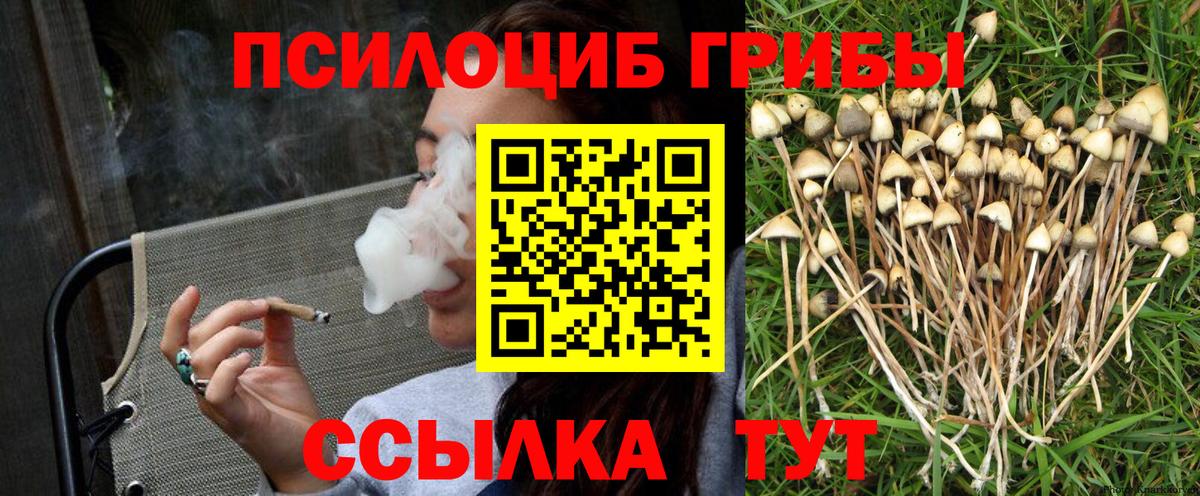 Галлюциногенные грибы MAGIC MUSHROOMS  Галлюциногенные грибы Psilocybine cubensis  Вход с VPN  наркошоп  Можайск 
