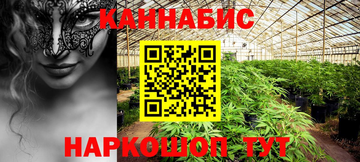Шишки марихуана AK-47  Бошки марихуана тримм  Можайск  Марихуана Amnesia  Вход с VPN 
